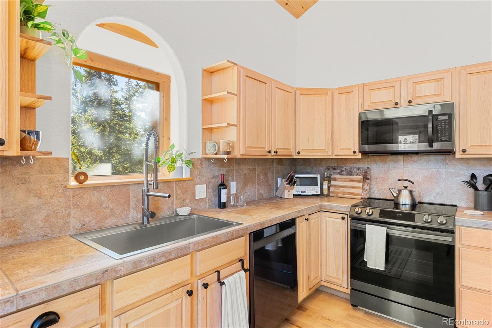 MLS Image #14 for 1205  mountain view drive,fairplay, Colorado