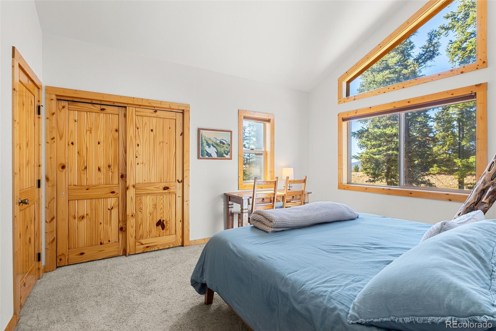 MLS Image #15 for 1205  mountain view drive,fairplay, Colorado