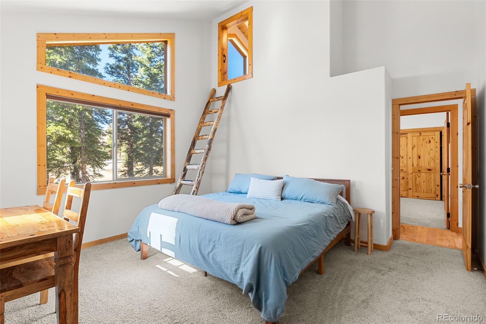 MLS Image #16 for 1205  mountain view drive,fairplay, Colorado