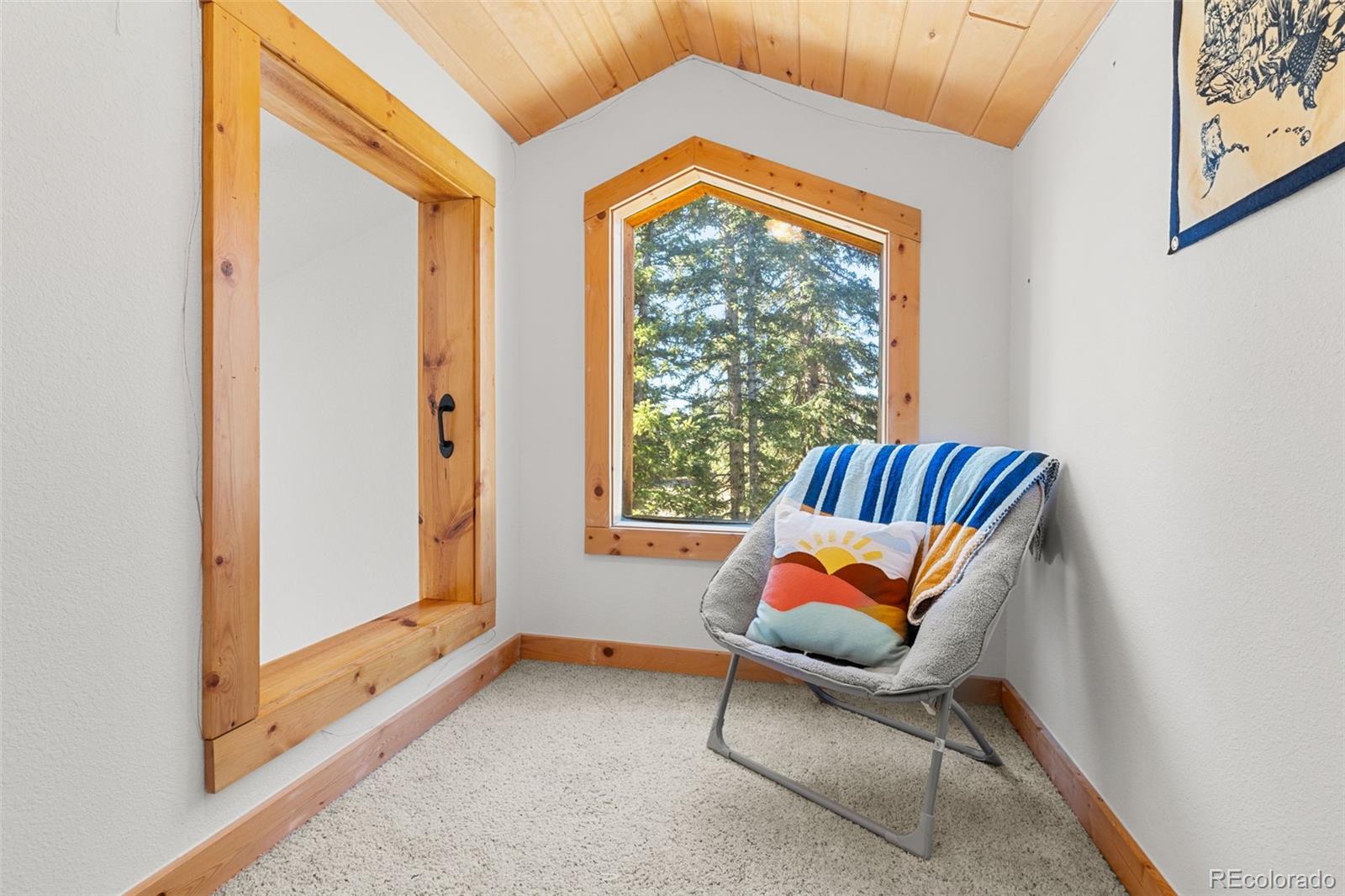 MLS Image #18 for 1205  mountain view drive,fairplay, Colorado