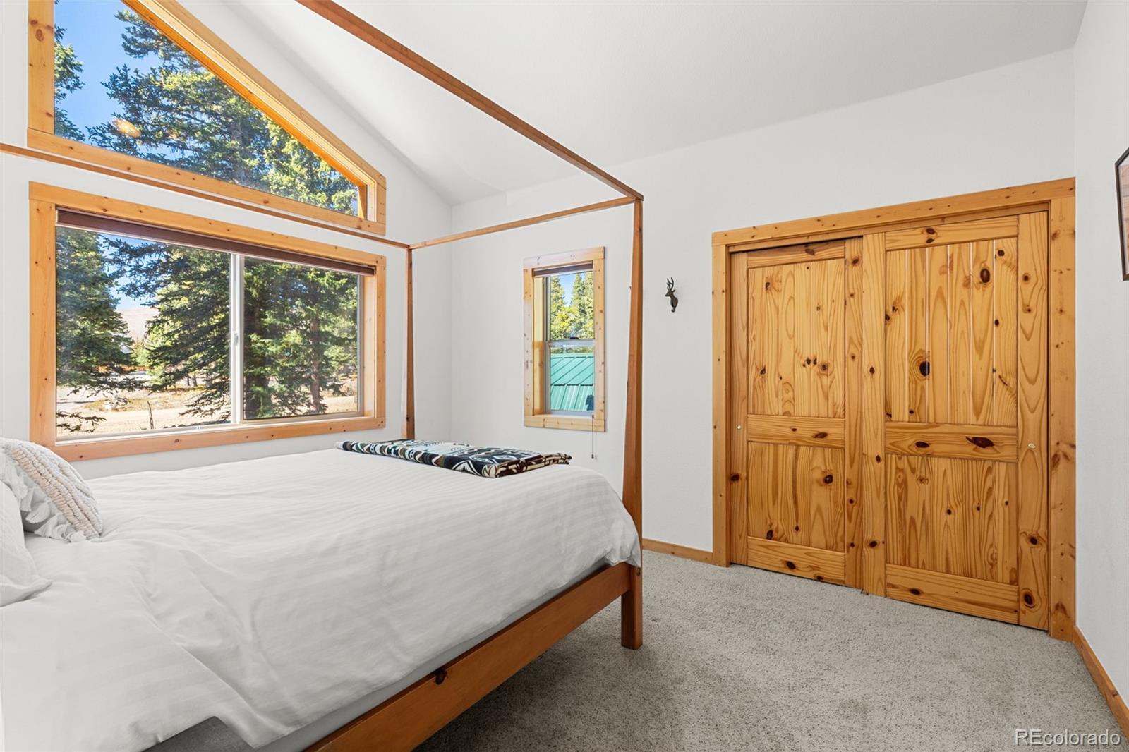 MLS Image #19 for 1205  mountain view drive,fairplay, Colorado