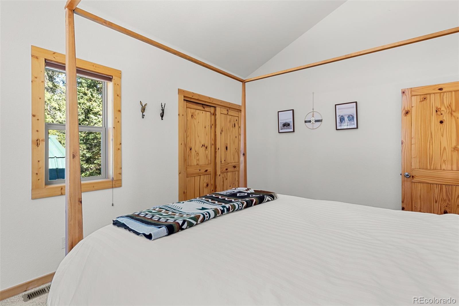 MLS Image #21 for 1205  mountain view drive,fairplay, Colorado