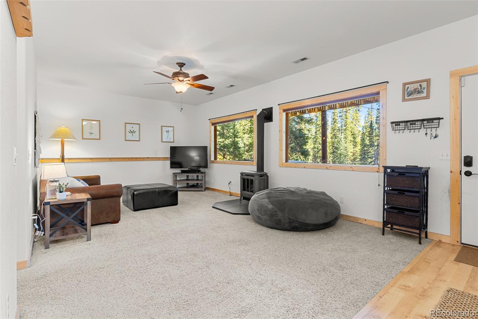 MLS Image #23 for 1205  mountain view drive,fairplay, Colorado