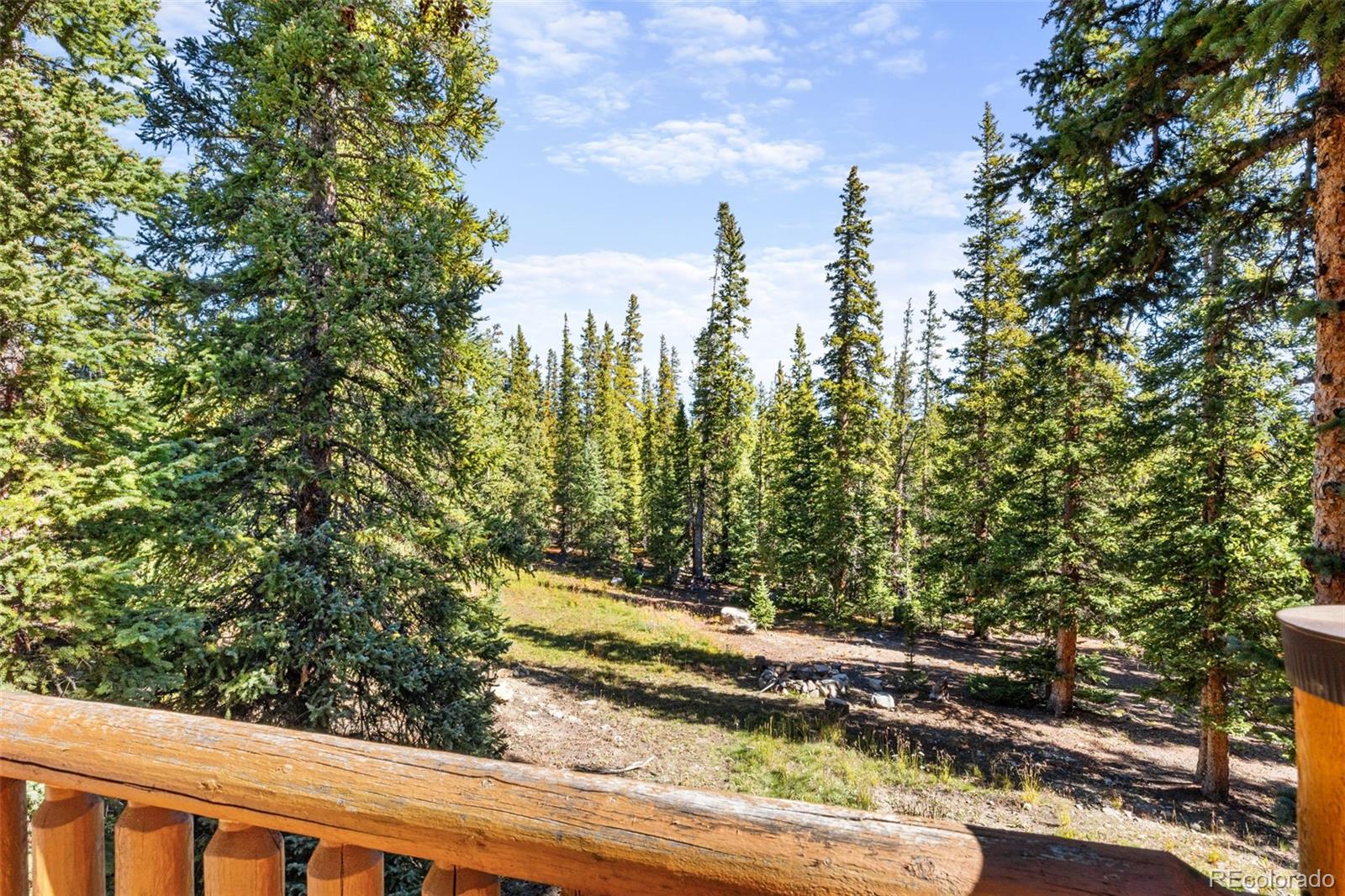 MLS Image #31 for 1205  mountain view drive,fairplay, Colorado