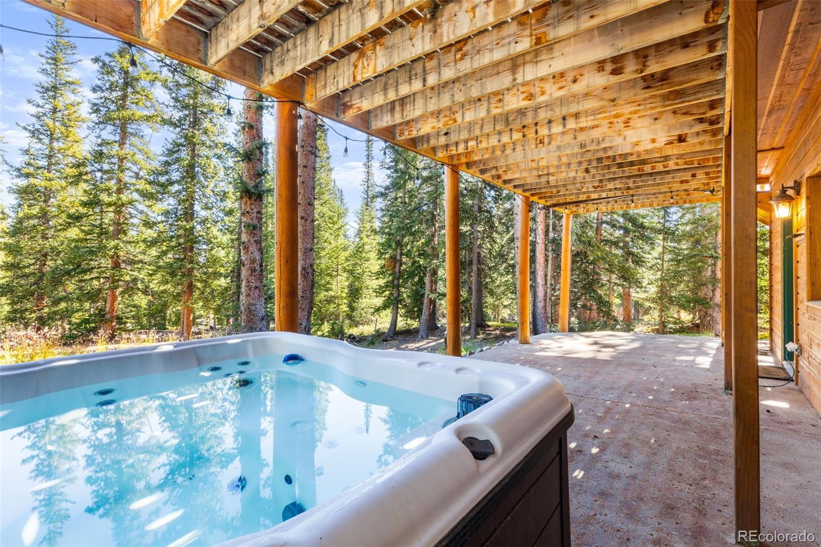MLS Image #32 for 1205  mountain view drive,fairplay, Colorado