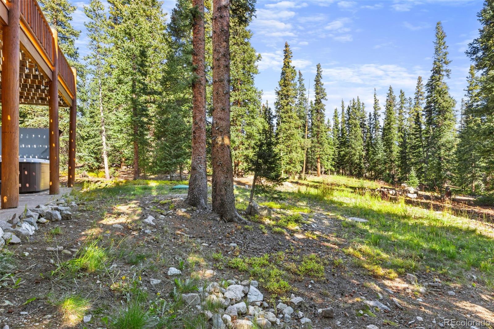 MLS Image #36 for 1205  mountain view drive,fairplay, Colorado