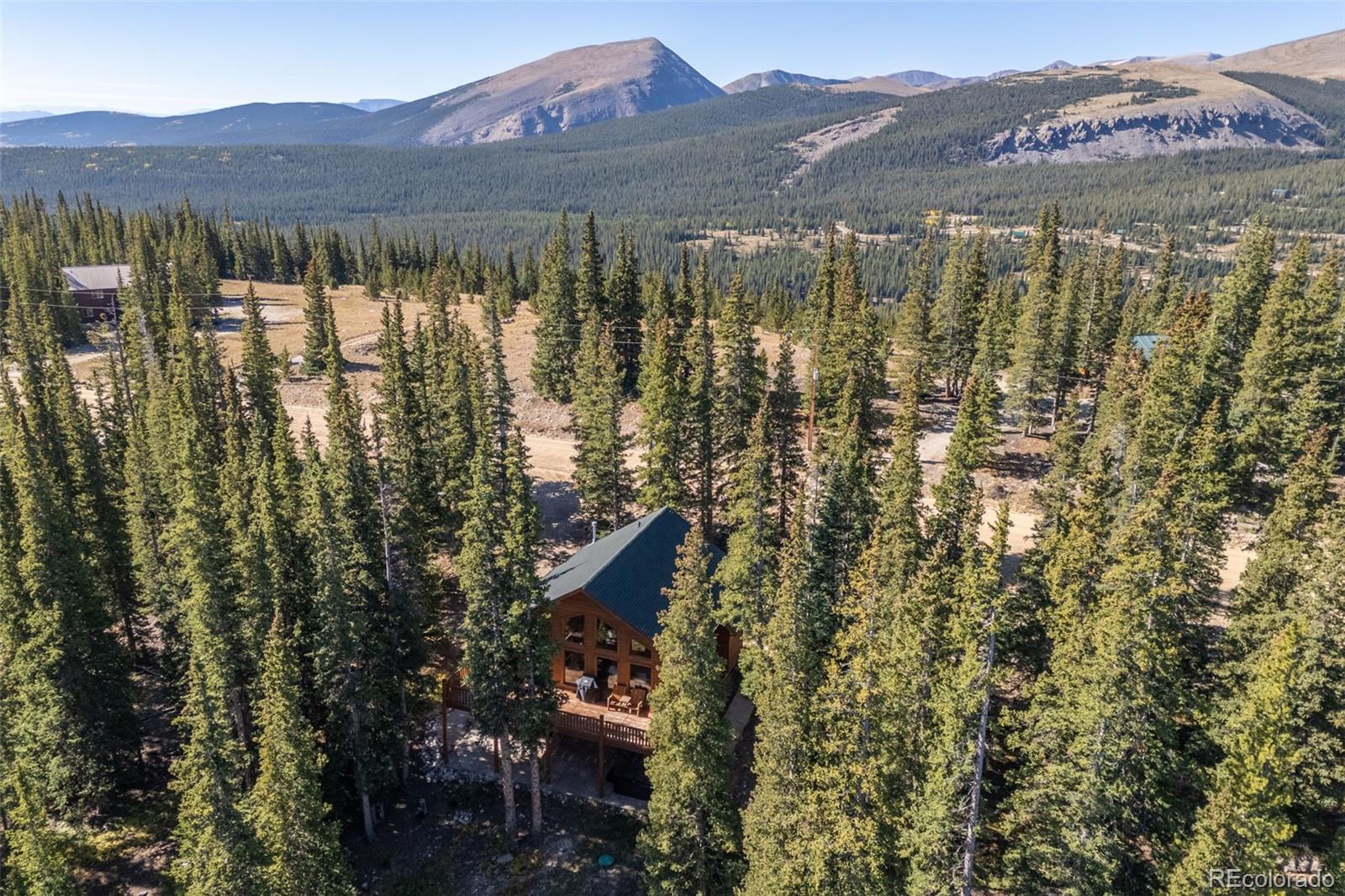 MLS Image #6 for 1205  mountain view drive,fairplay, Colorado