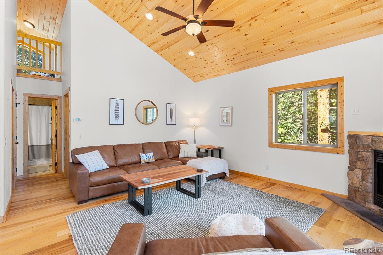 MLS Image #9 for 1205  mountain view drive,fairplay, Colorado