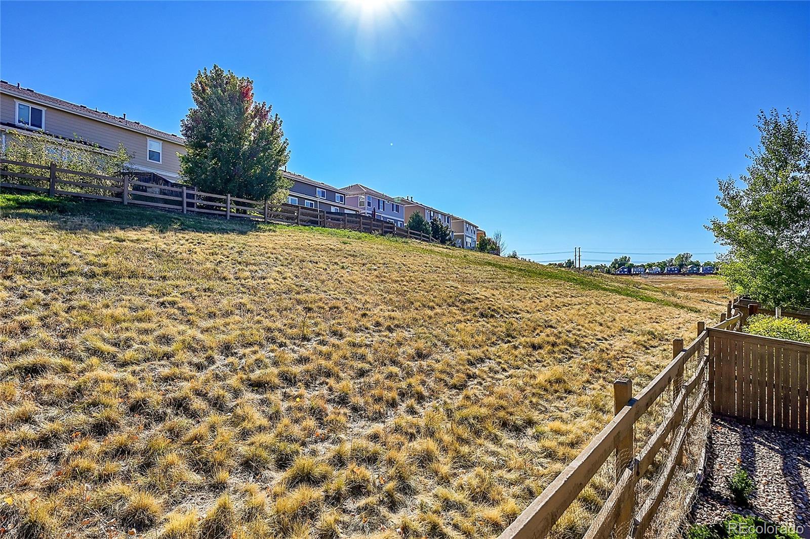 MLS Image #25 for 5960  turnstone place,castle rock, Colorado