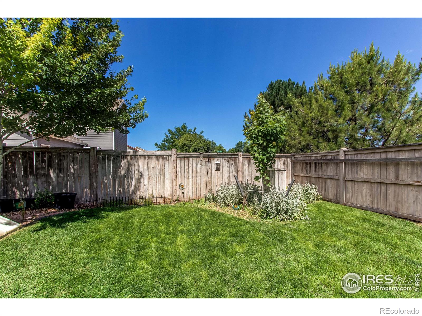 MLS Image #33 for 3452  white buffalo drive,wellington, Colorado