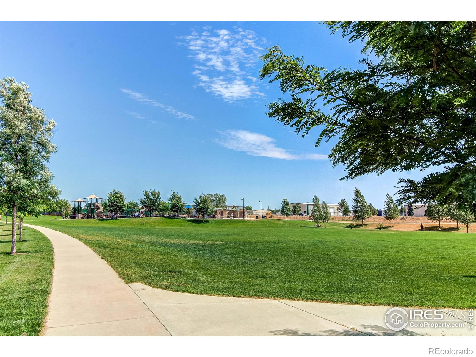 MLS Image #39 for 3452  white buffalo drive,wellington, Colorado