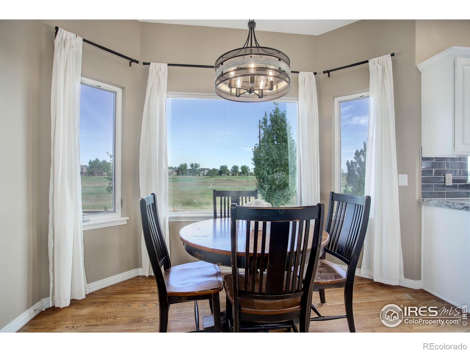 MLS Image #16 for 1169  wyndemere circle,longmont, Colorado