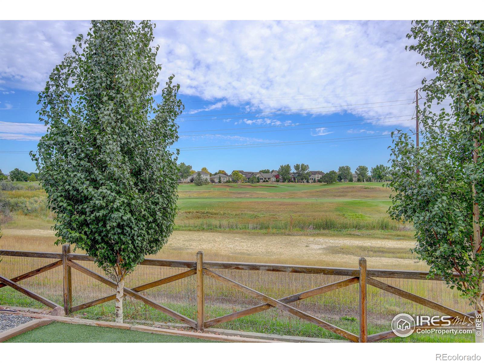 MLS Image #8 for 1169  wyndemere circle,longmont, Colorado