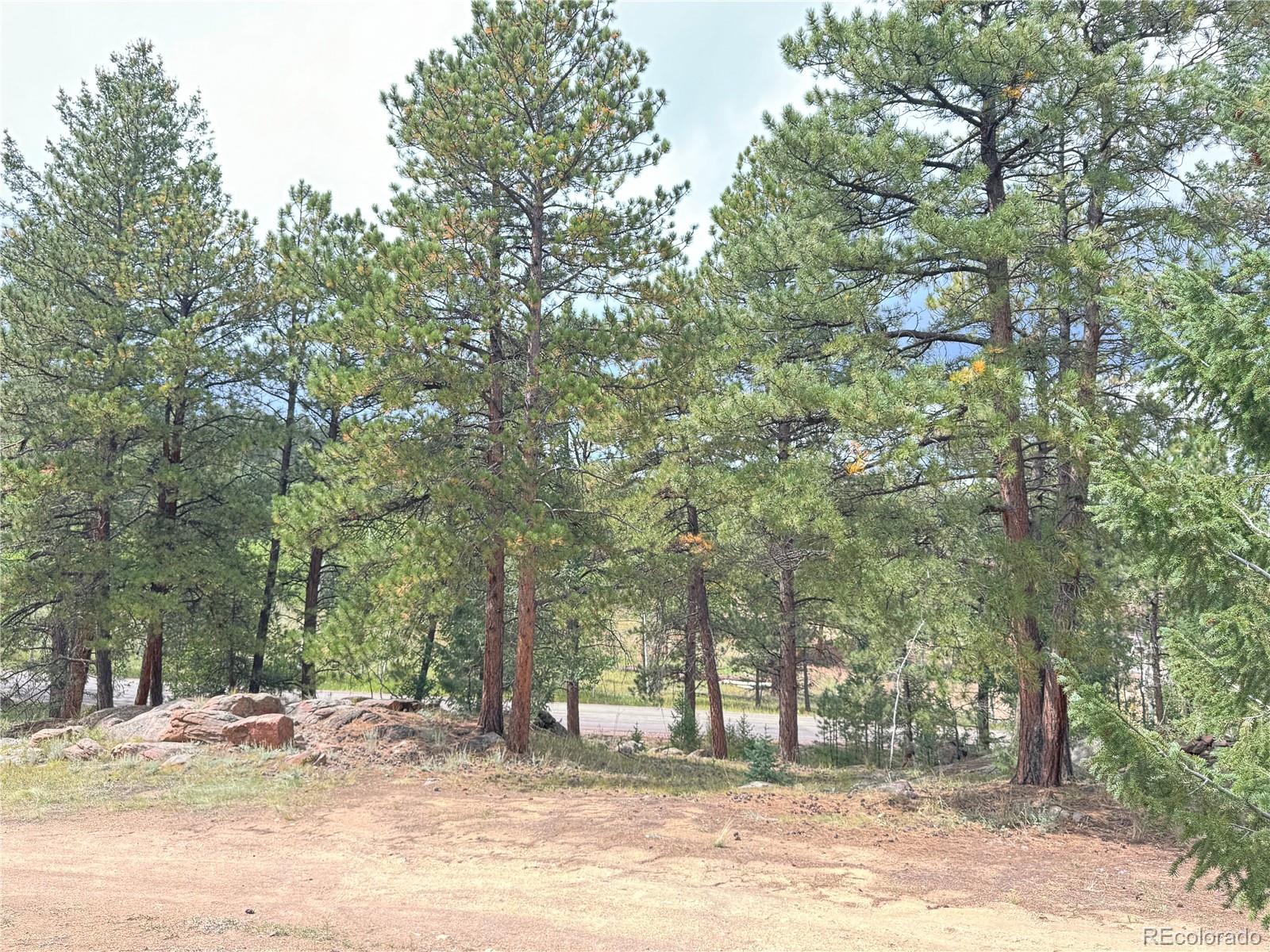 MLS Image #10 for 14054 s wandcrest drive,pine, Colorado