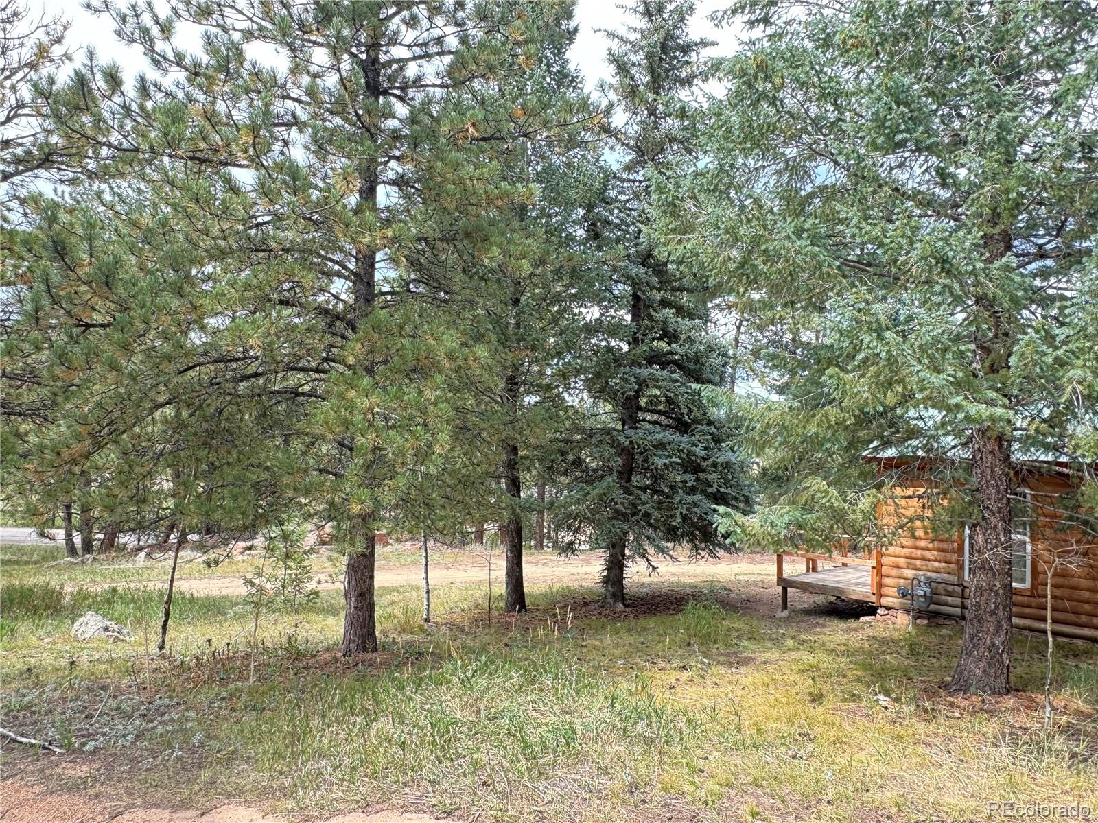 MLS Image #21 for 14054 s wandcrest drive,pine, Colorado