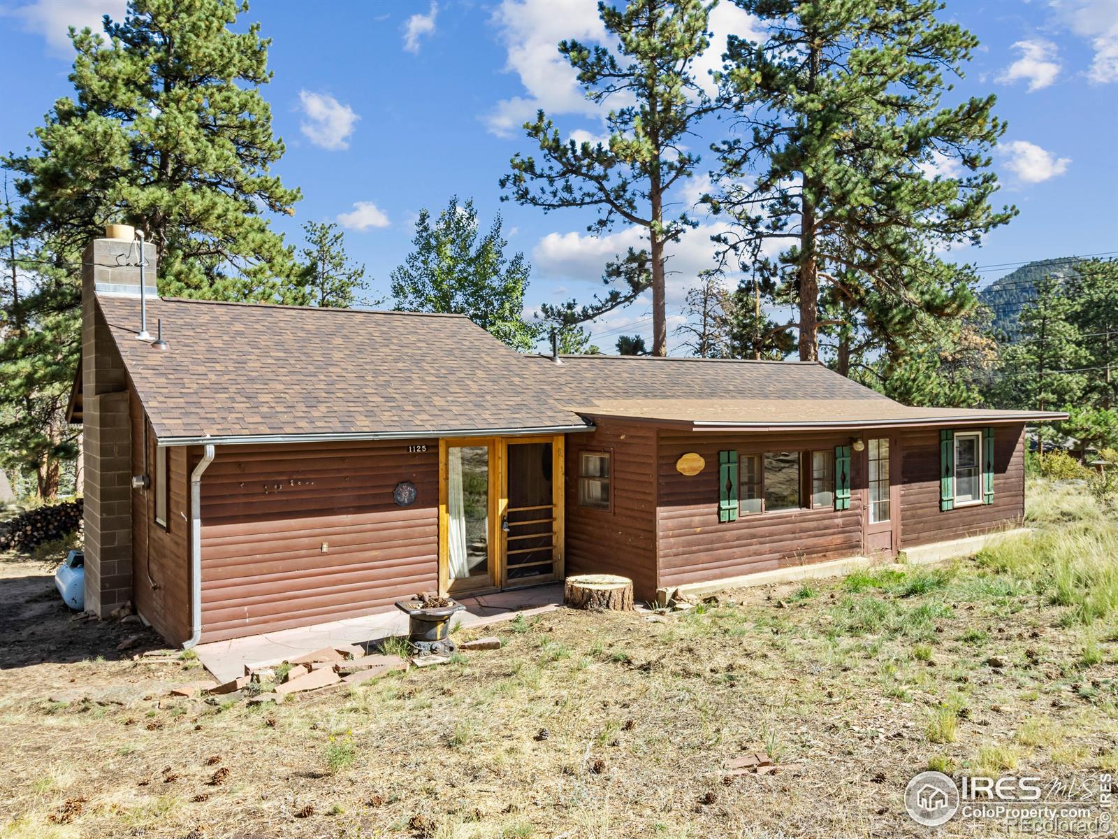 MLS Image #0 for 1125  upper broadview road,estes park, Colorado