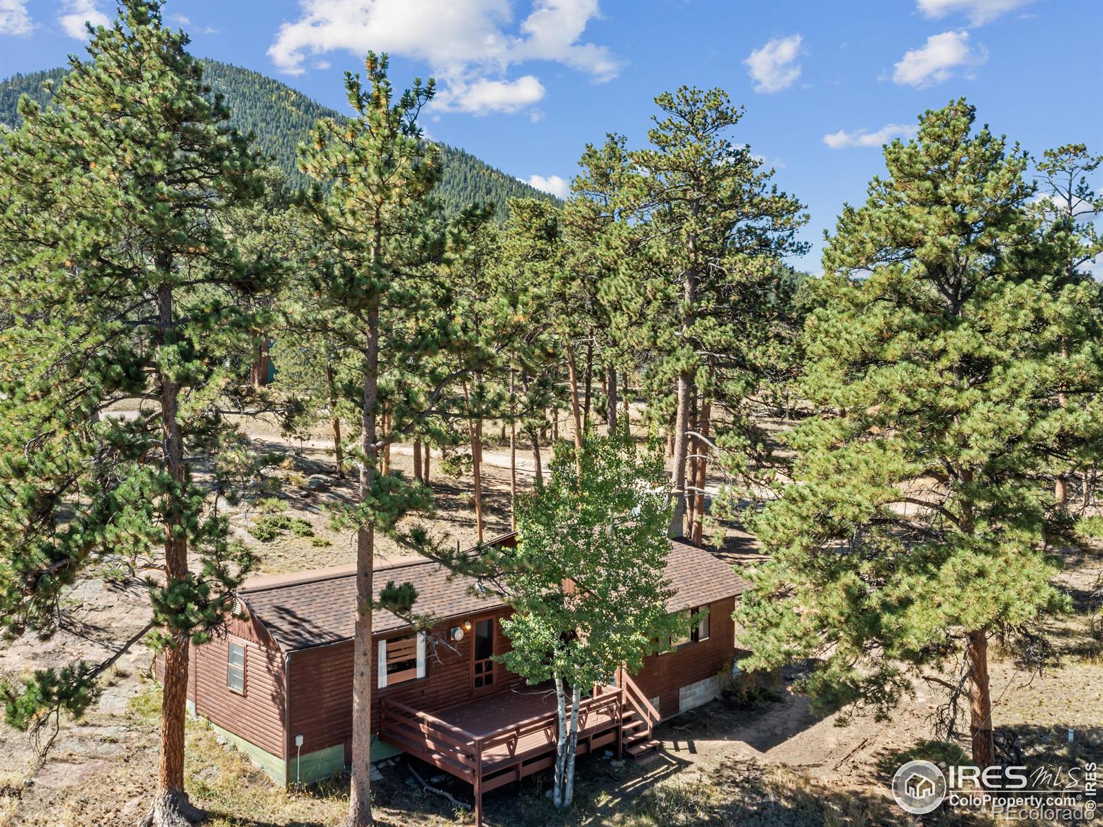 MLS Image #2 for 1125  upper broadview road,estes park, Colorado