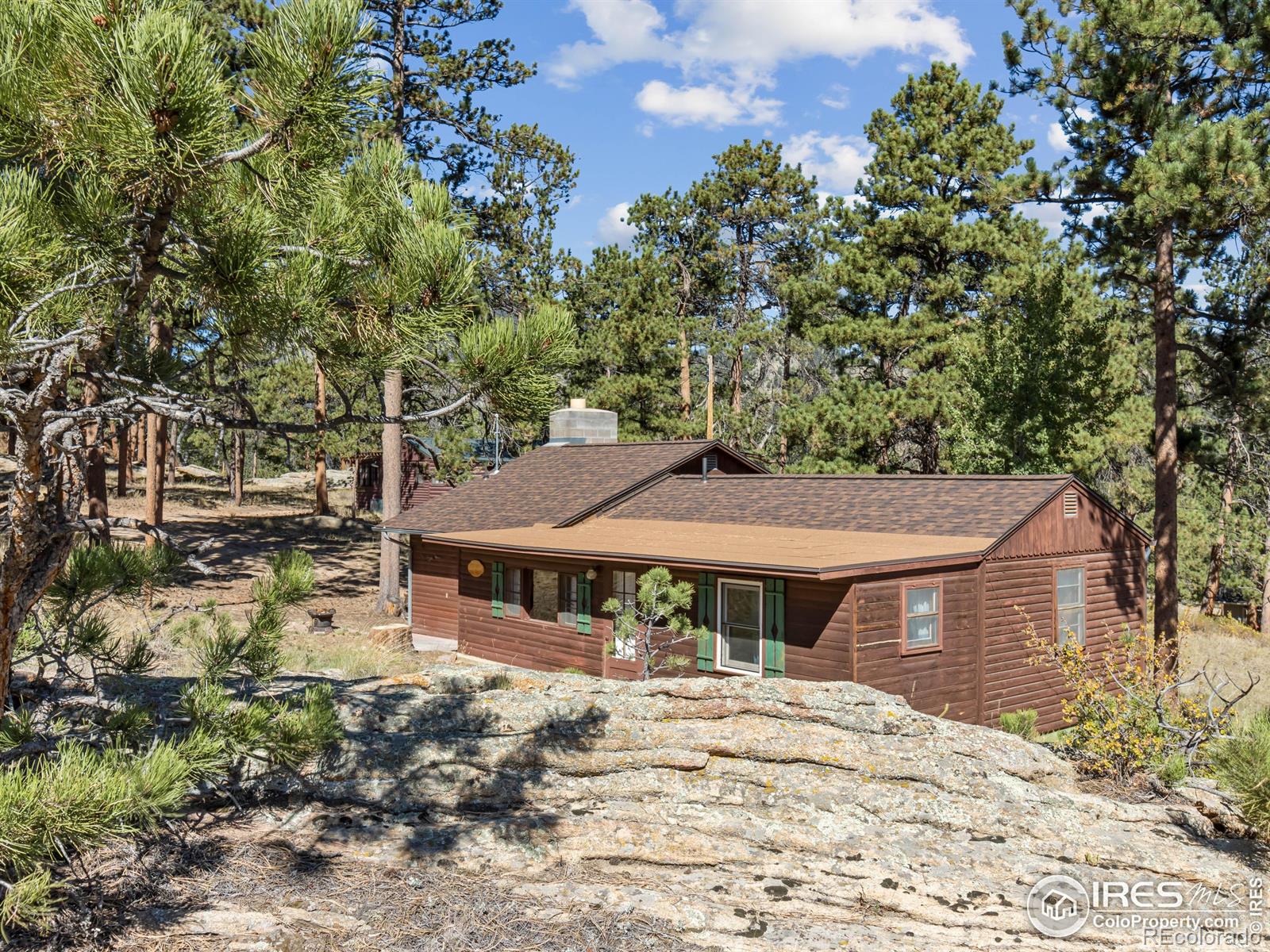 MLS Image #21 for 1125  upper broadview road,estes park, Colorado