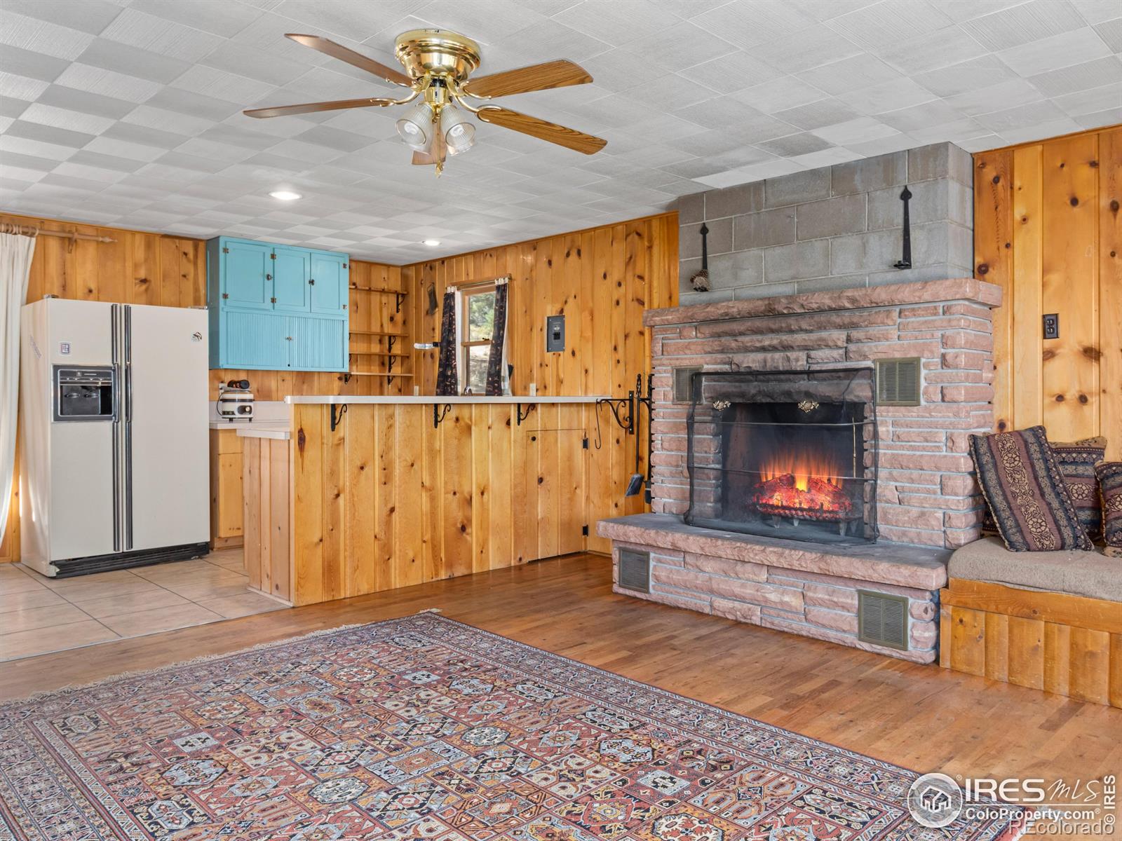 MLS Image #4 for 1125  upper broadview road,estes park, Colorado