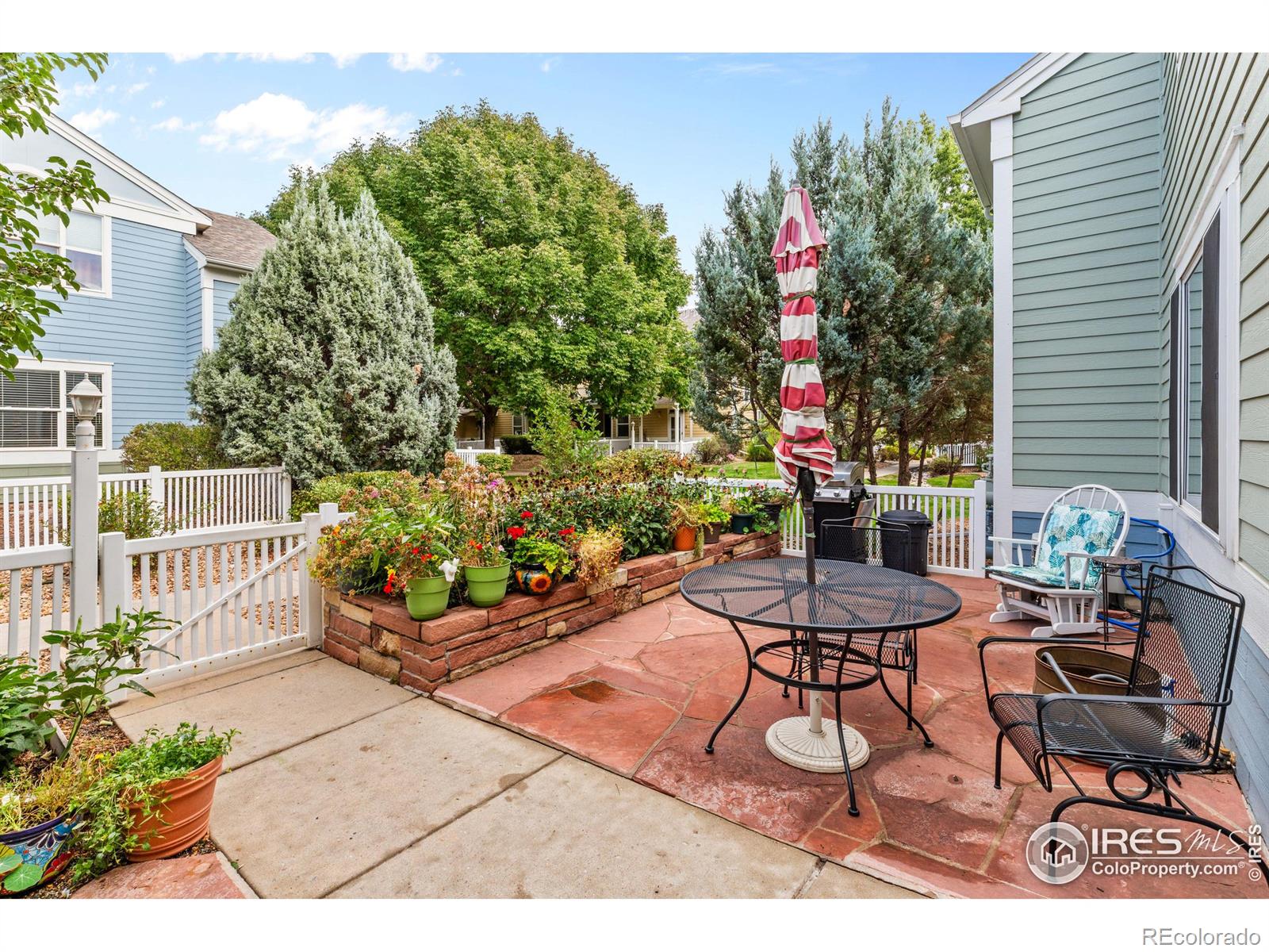 MLS Image #2 for 640  gooseberry drive,longmont, Colorado