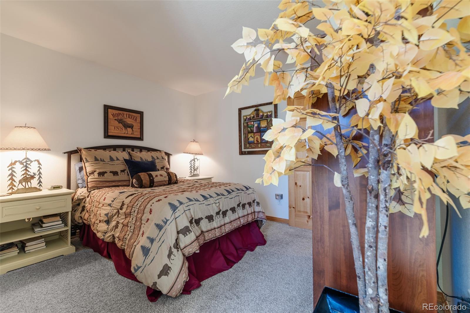 MLS Image #17 for 115  mountain vista lane,silverthorne, Colorado