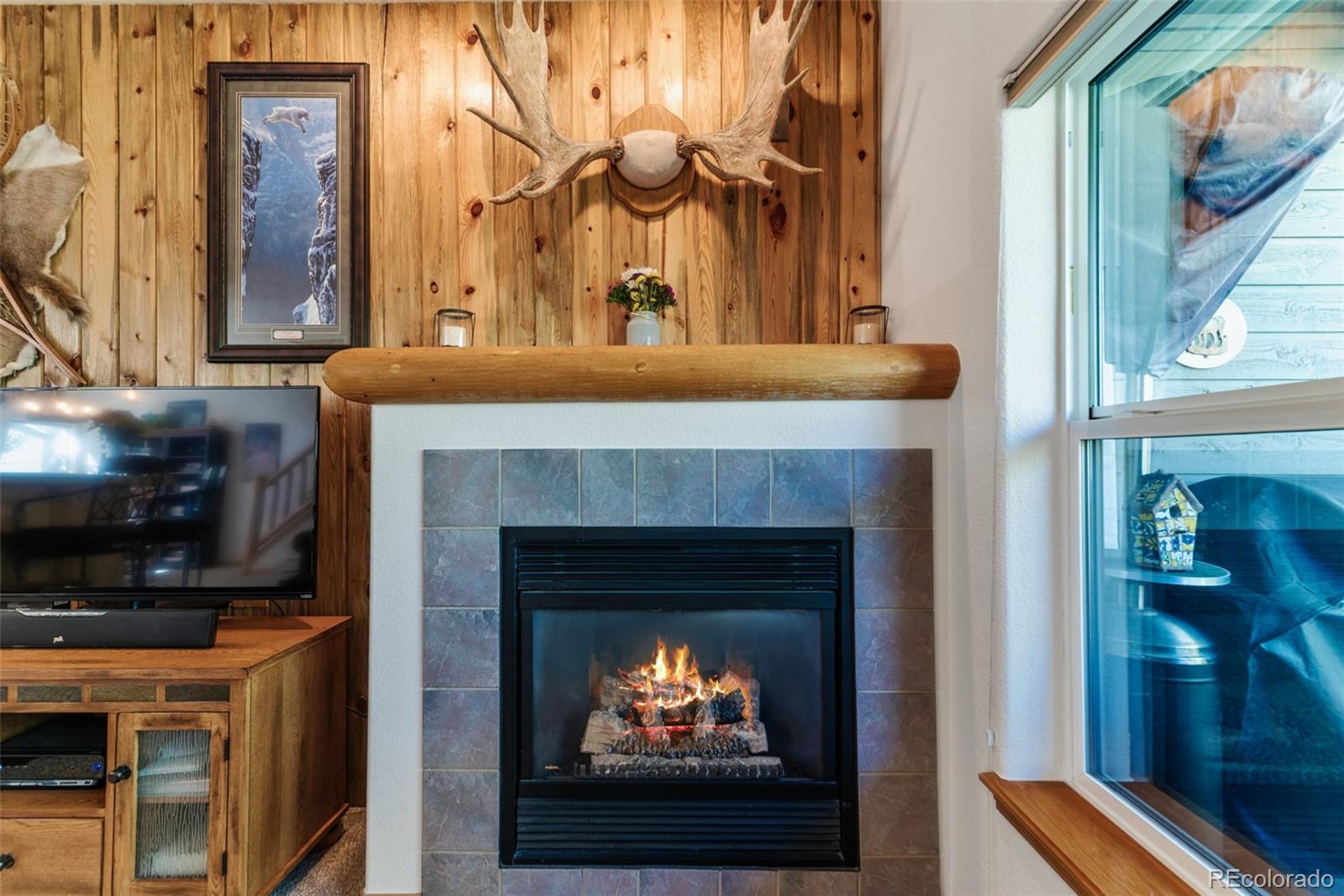 MLS Image #22 for 115  mountain vista lane,silverthorne, Colorado