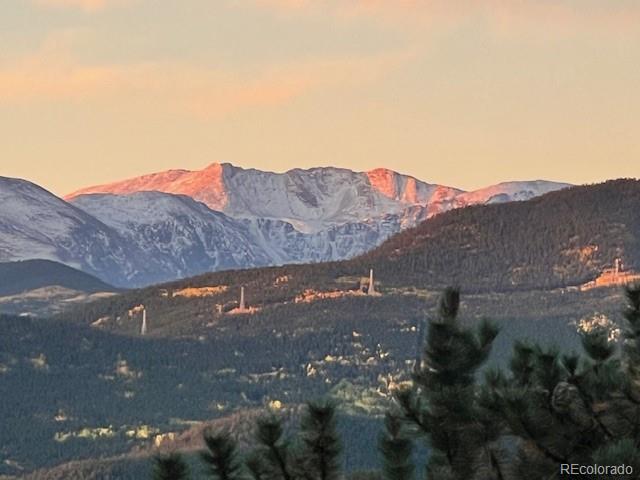 MLS Image #3 for 420  chinook road,idaho springs, Colorado