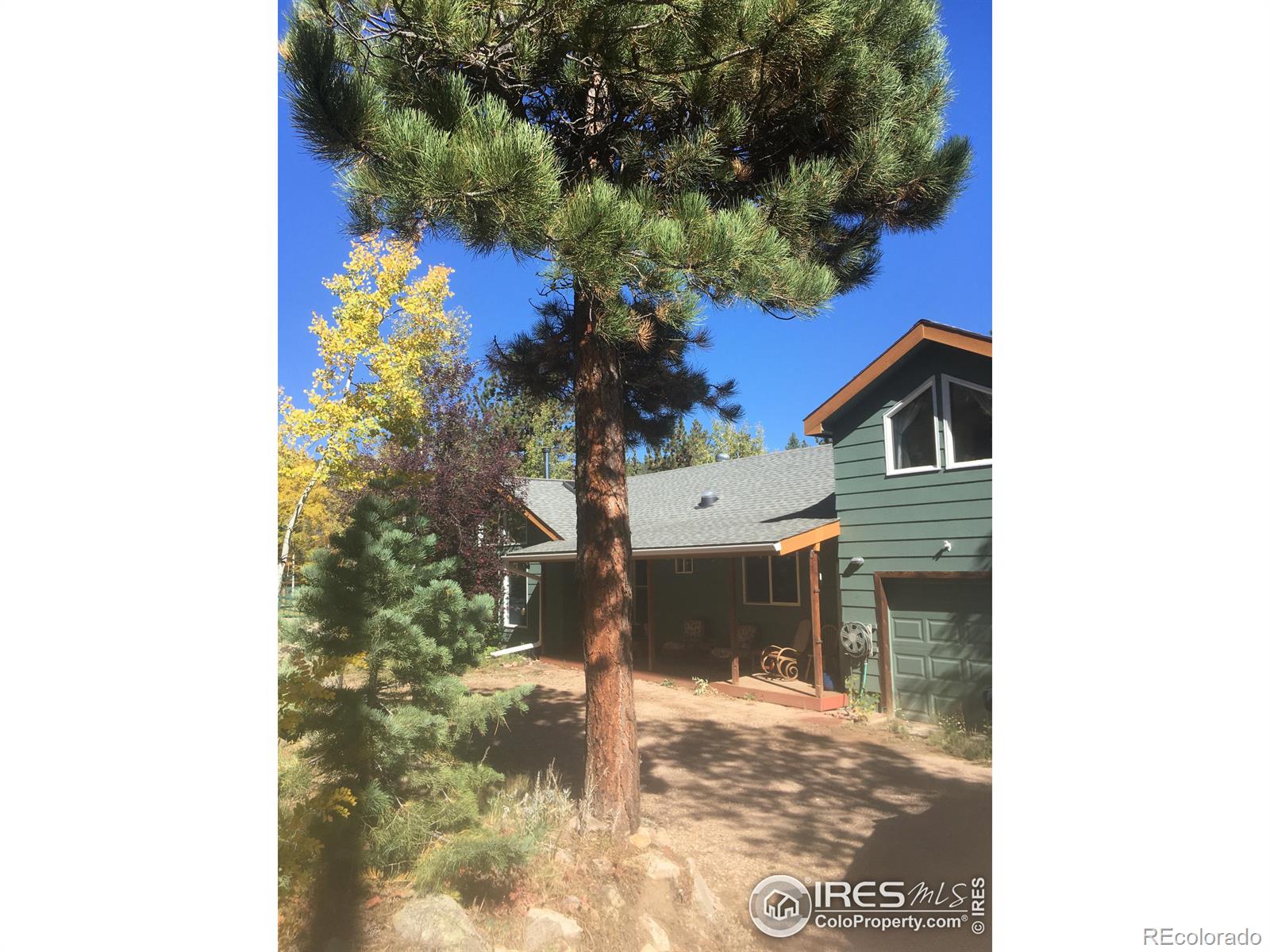 MLS Image #14 for 262  hummer drive,nederland, Colorado