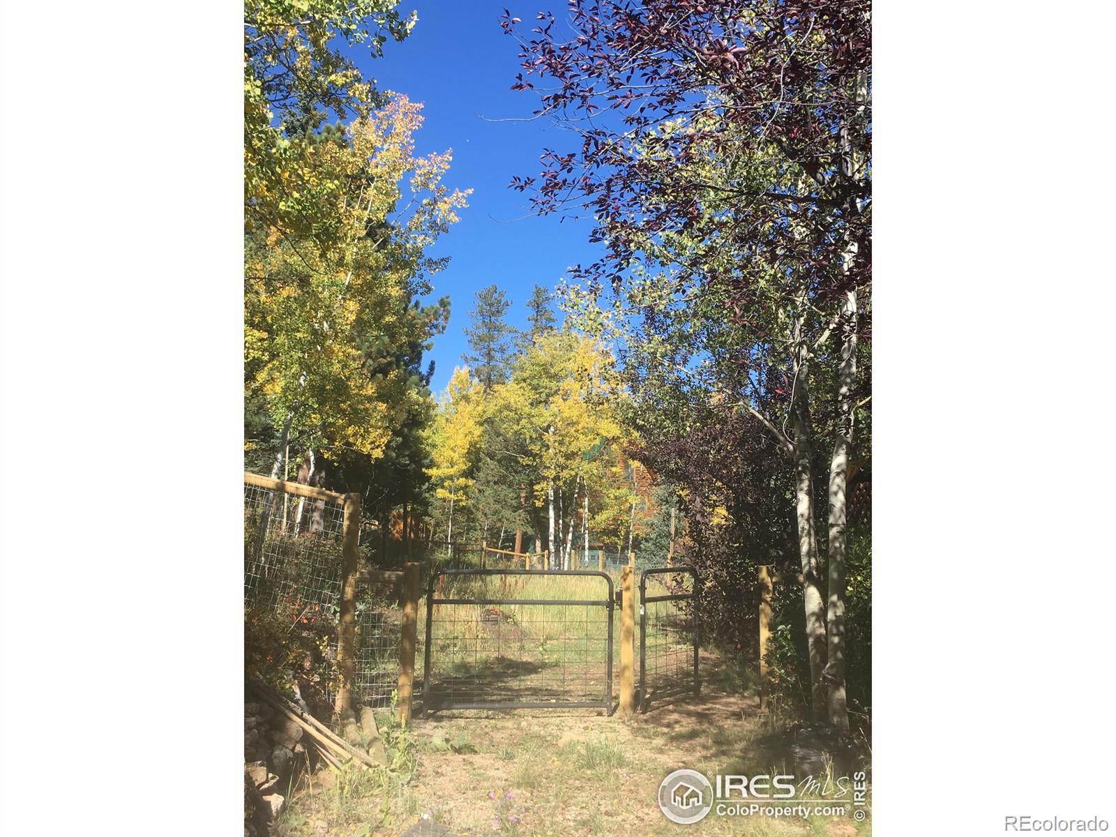 MLS Image #15 for 262  hummer drive,nederland, Colorado