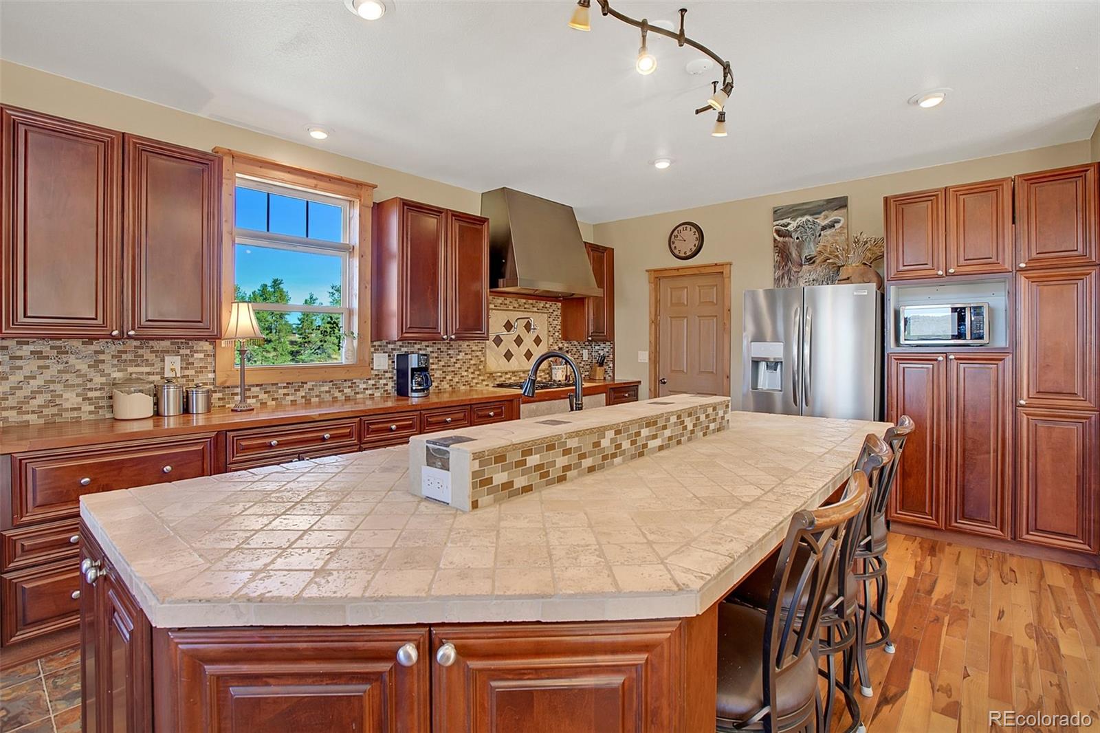 MLS Image #10 for 88  empire road,florissant, Colorado