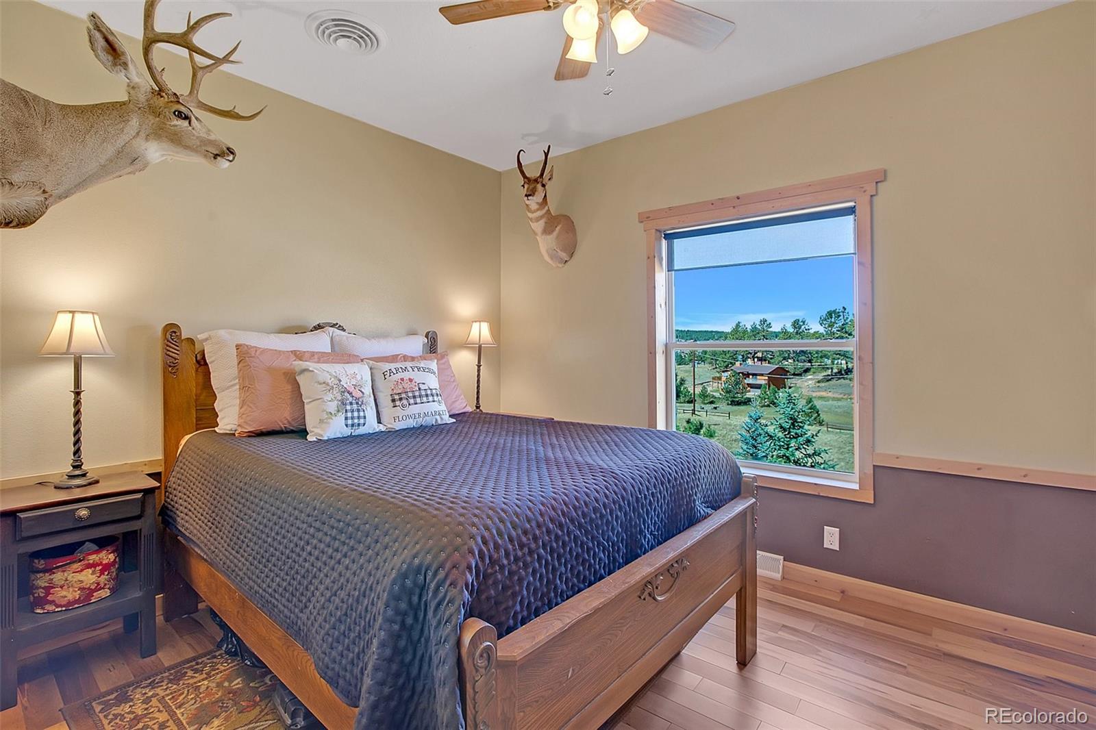 MLS Image #19 for 88  empire road,florissant, Colorado