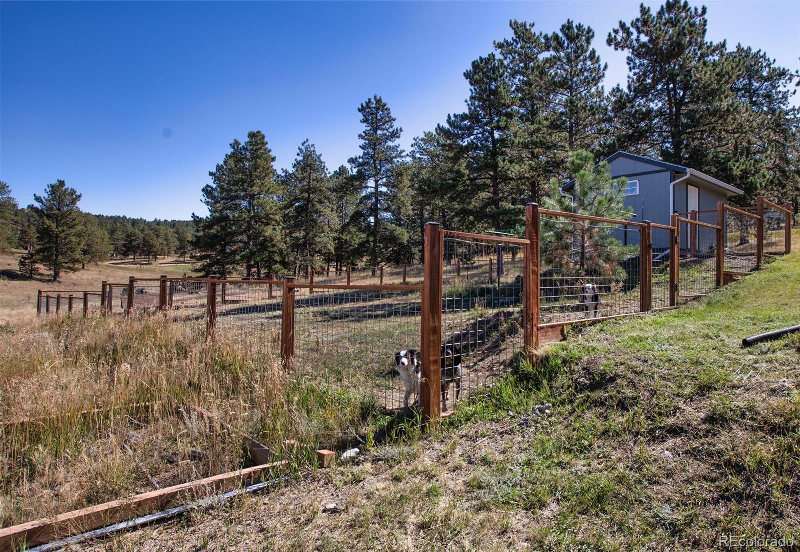 MLS Image #46 for 88  empire road,florissant, Colorado