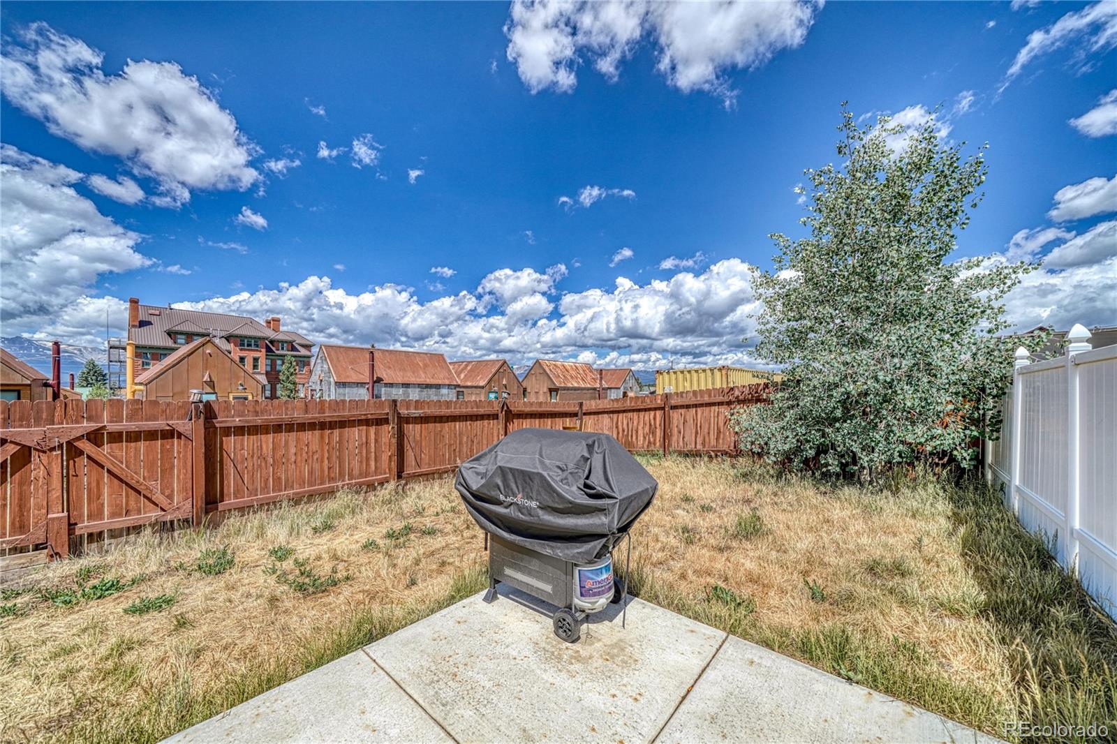 MLS Image #23 for 326 e 10th street,leadville, Colorado