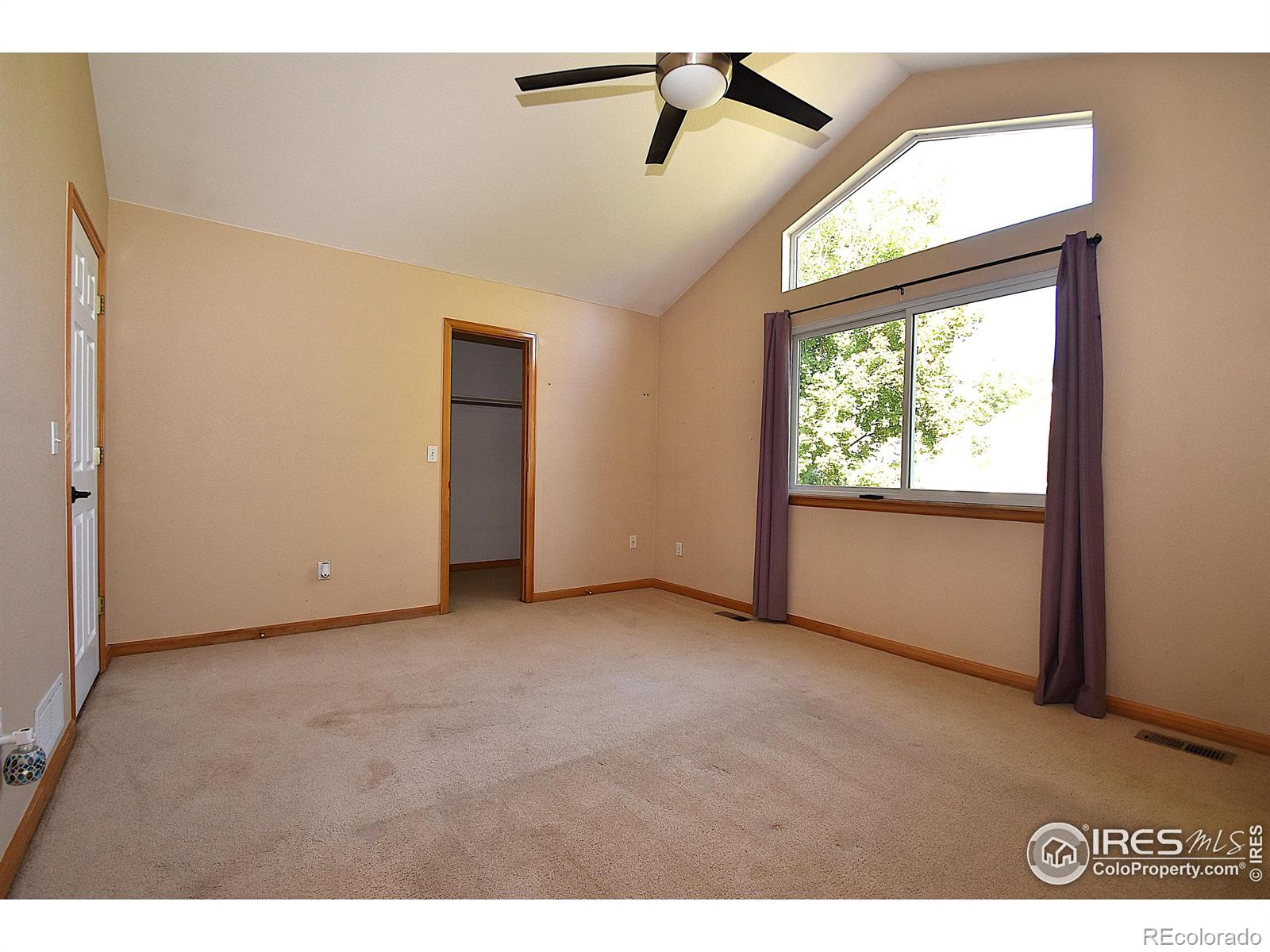 MLS Image #19 for 232  sugarbin court,longmont, Colorado