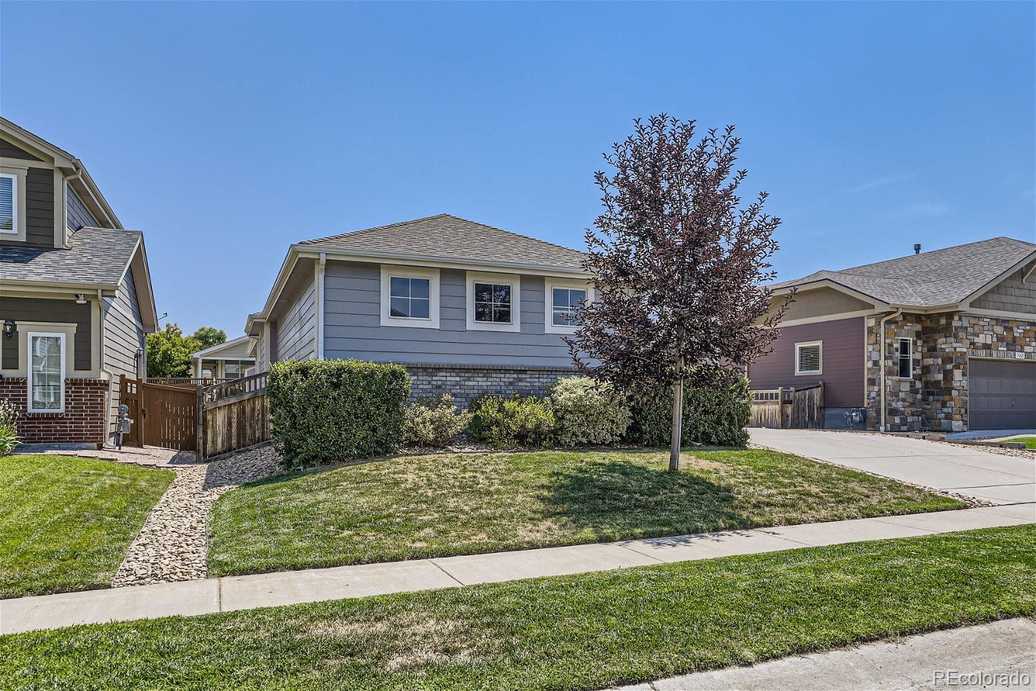 MLS Image #2 for 5219  royal pine street,brighton, Colorado