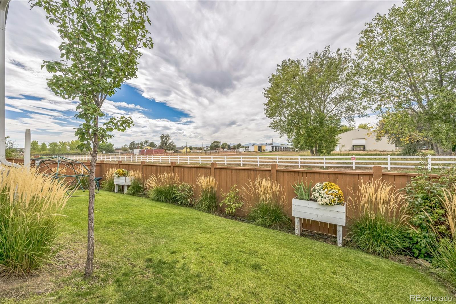 MLS Image #27 for 17491  drake street,broomfield, Colorado