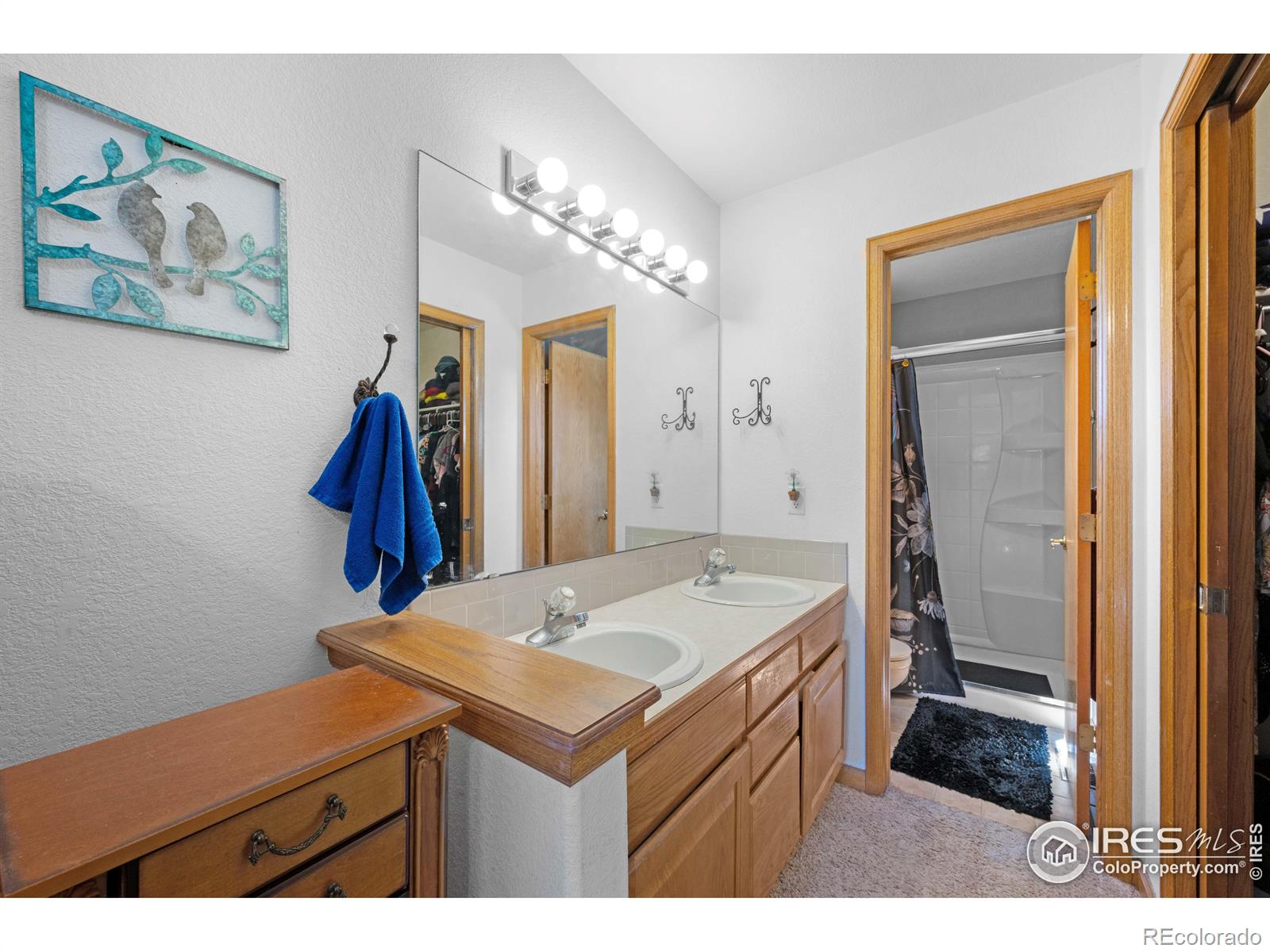 MLS Image #12 for 2766  serena drive,mead, Colorado