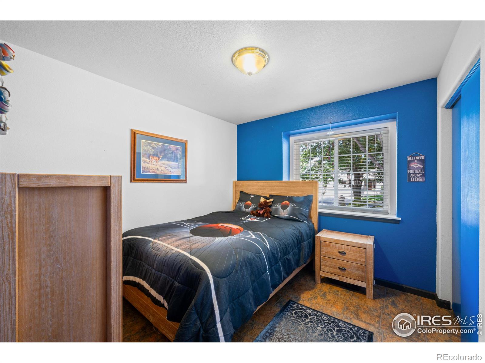 MLS Image #15 for 2766  serena drive,mead, Colorado