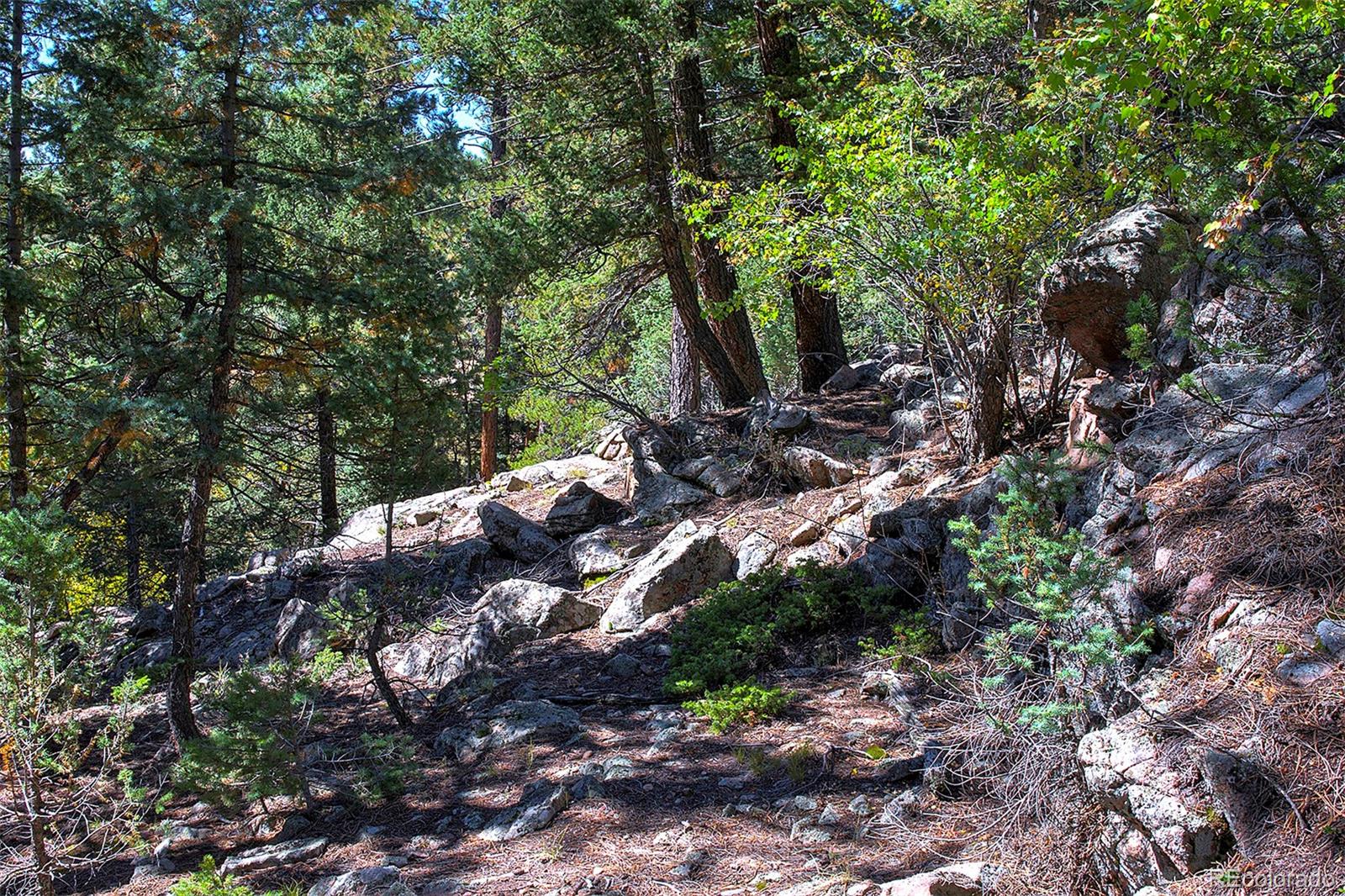 MLS Image #34 for 11608  apache trail,conifer, Colorado