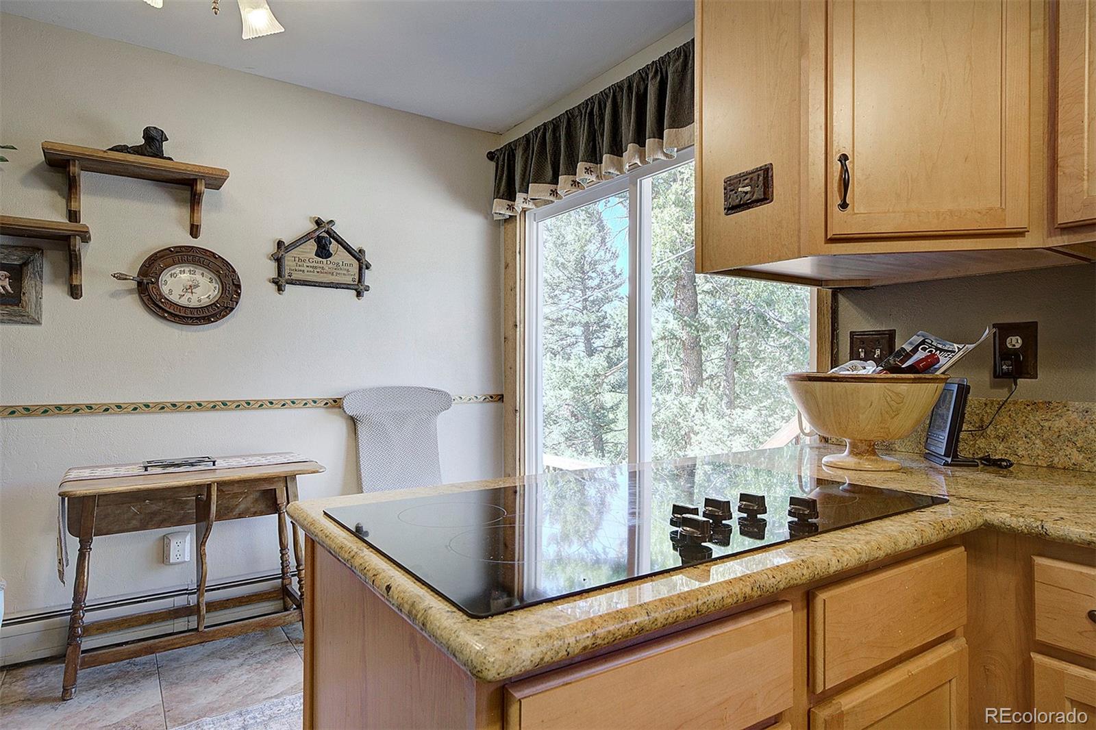 MLS Image #6 for 11608  apache trail,conifer, Colorado