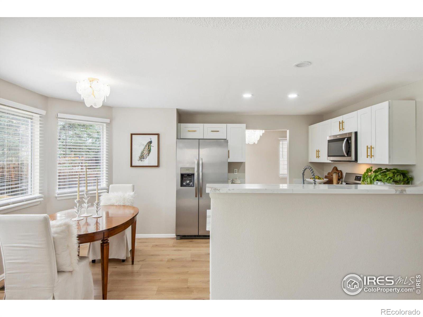 MLS Image #10 for 13185  shoshone street,denver, Colorado