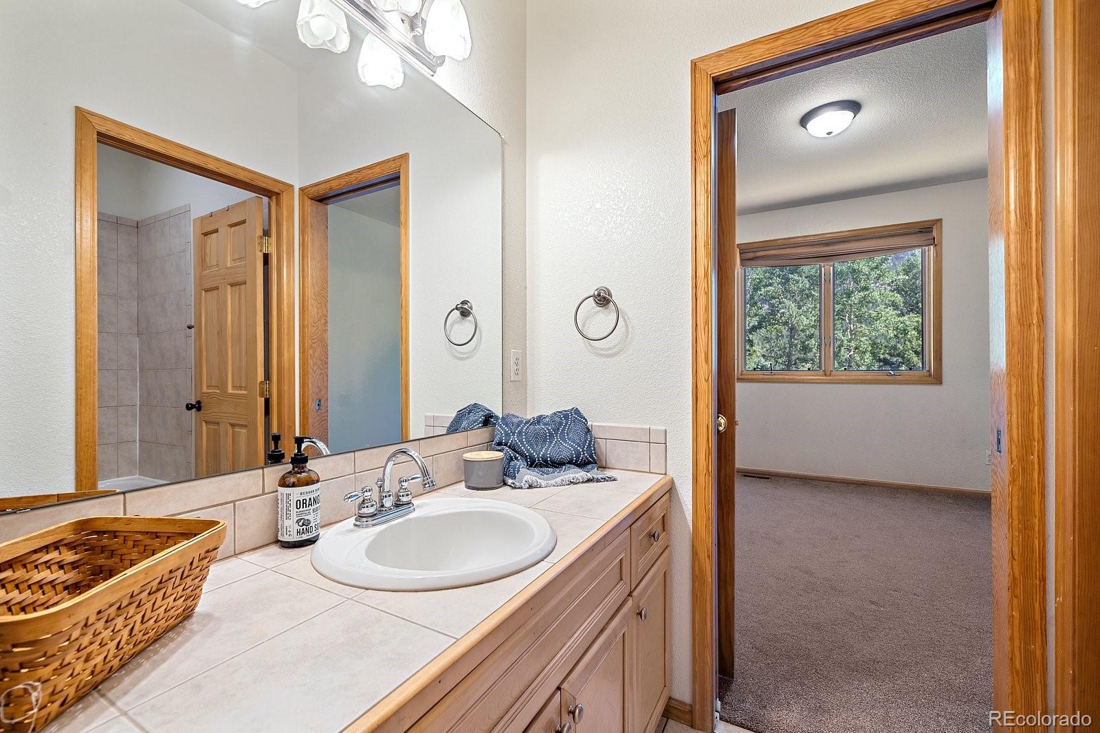 MLS Image #16 for 187  blue spruce drive,evergreen, Colorado