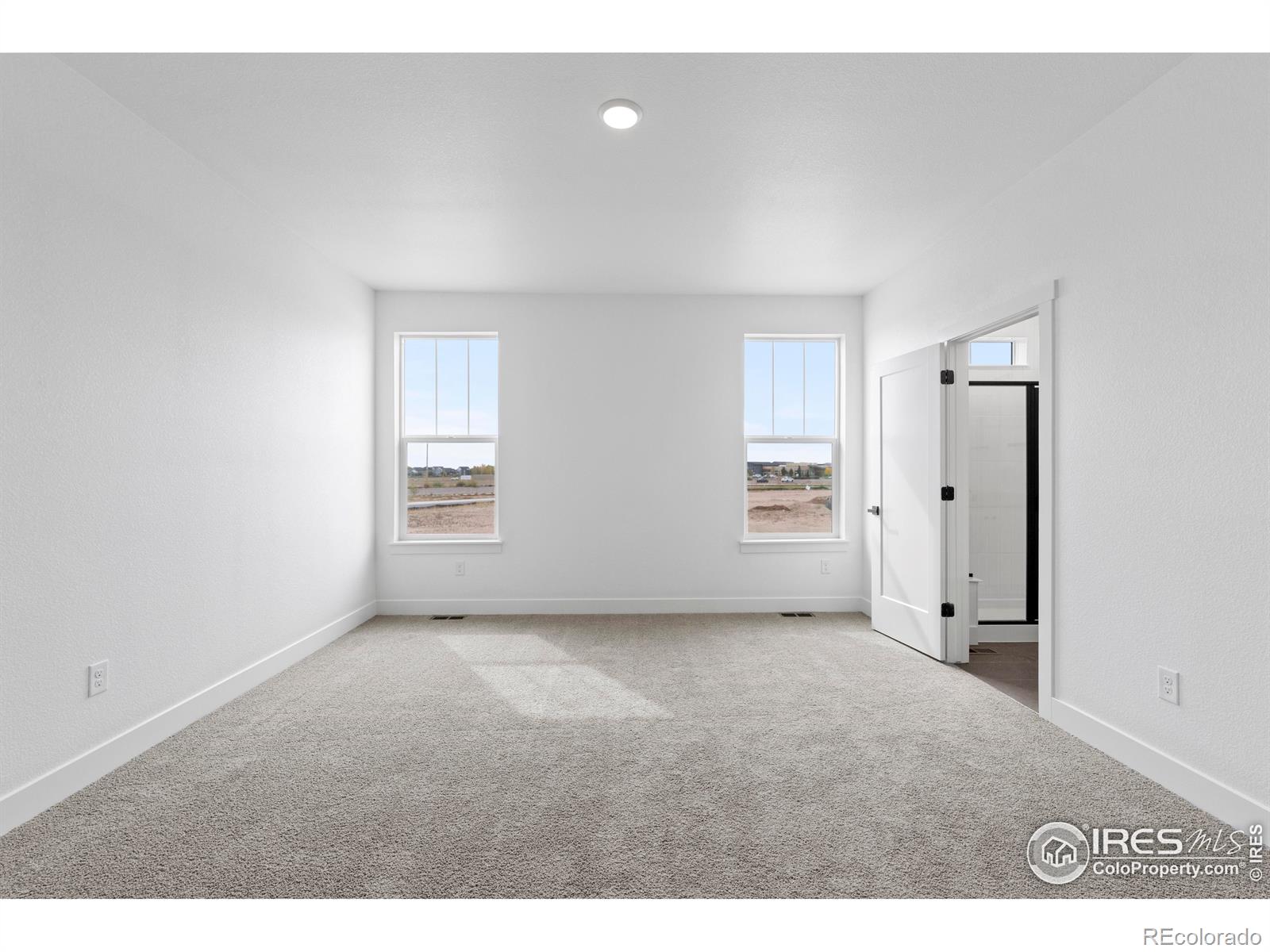 MLS Image #12 for 4517  parkline street,timnath, Colorado