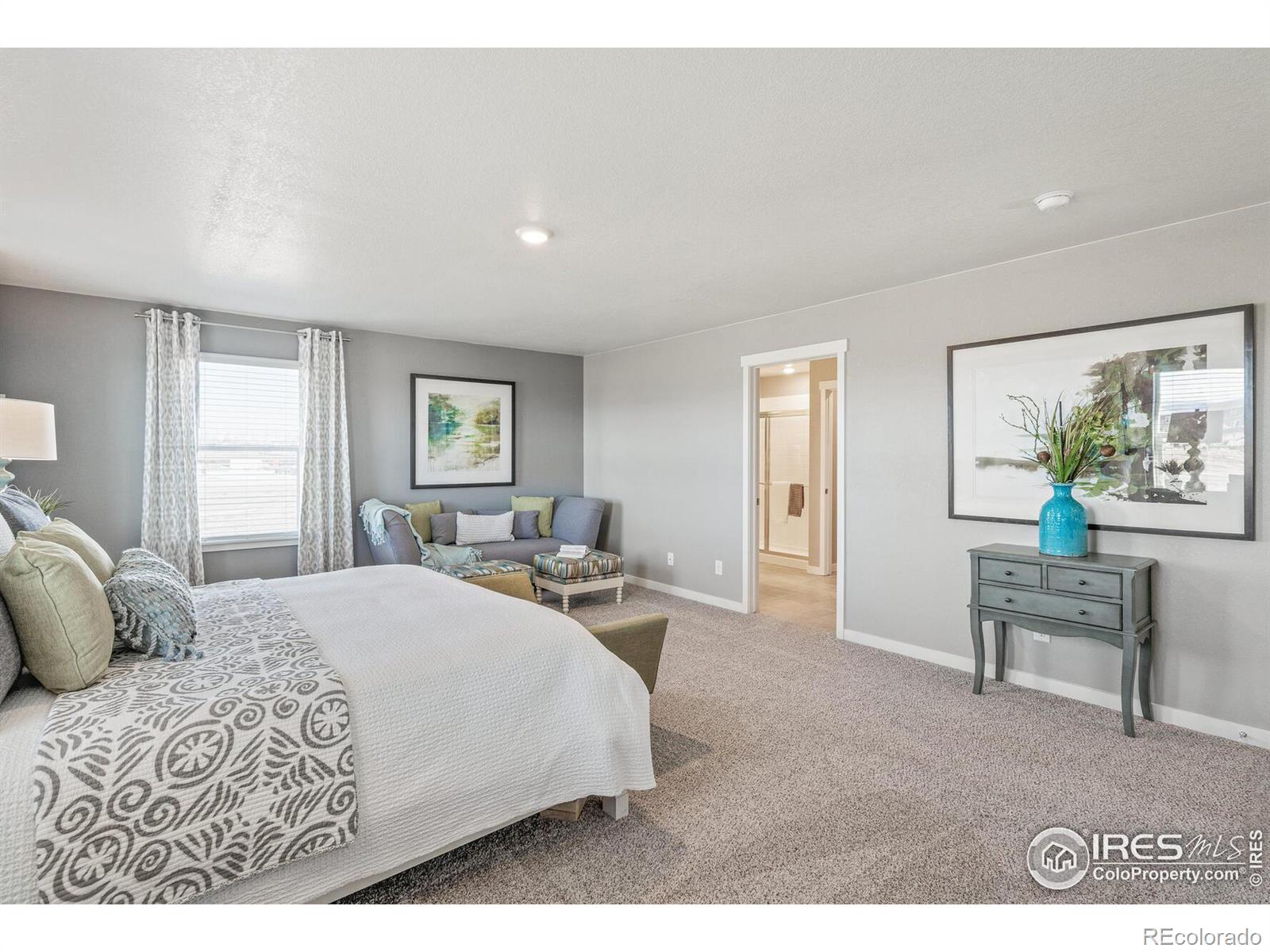 MLS Image #14 for 5950  holstein drive,windsor, Colorado