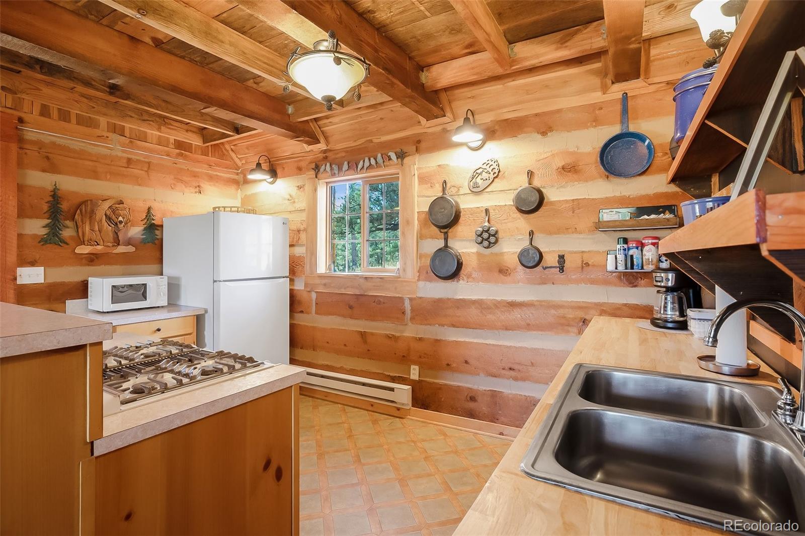 MLS Image #10 for 551  forest glen trail,florissant, Colorado