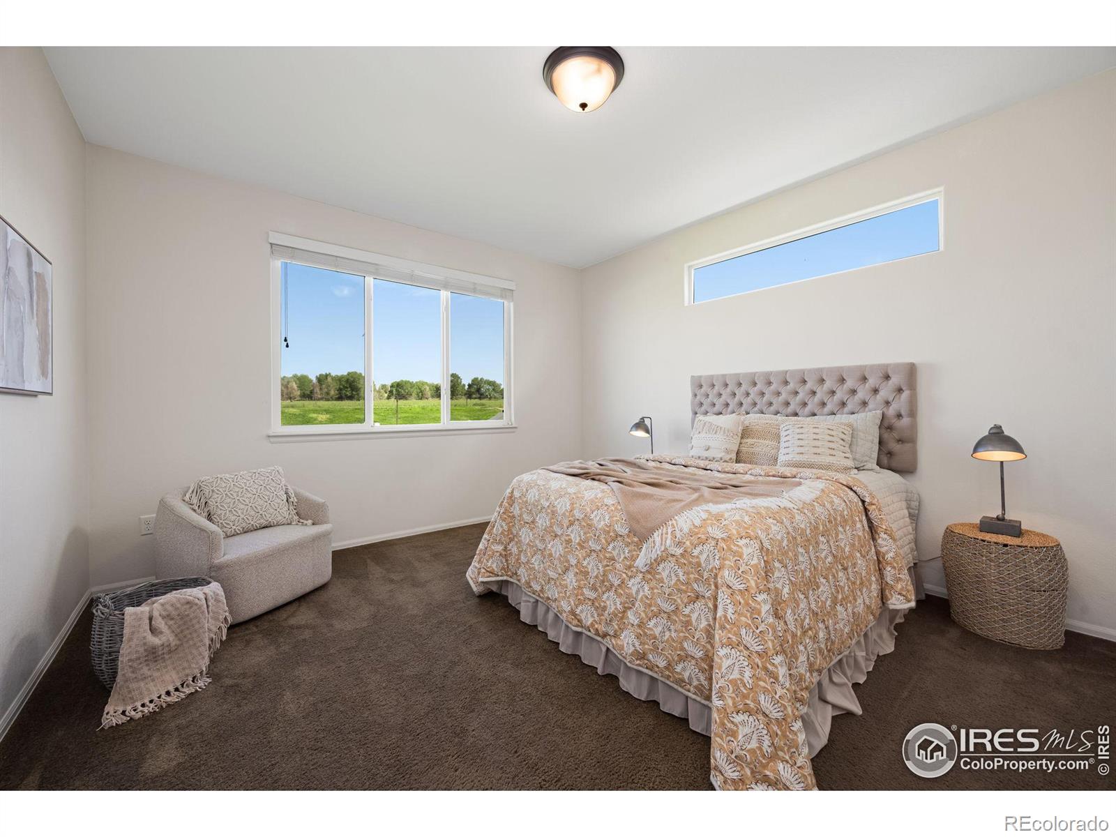 MLS Image #22 for 518  cherryridge drive,windsor, Colorado