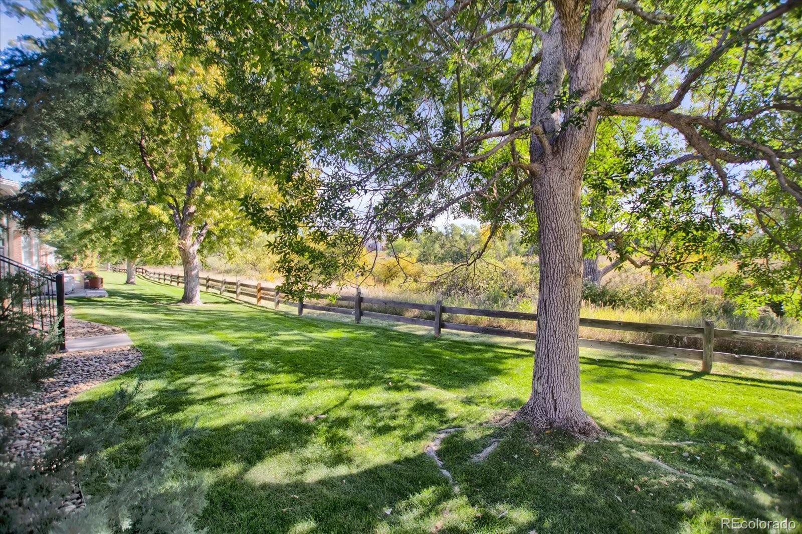 MLS Image #31 for 8992  greenspointe lane,highlands ranch, Colorado