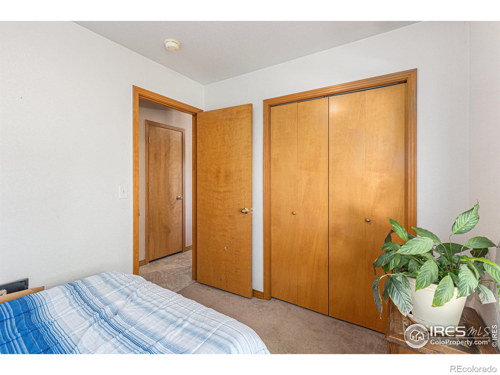 MLS Image #19 for 104  plowshare lane,platteville, Colorado