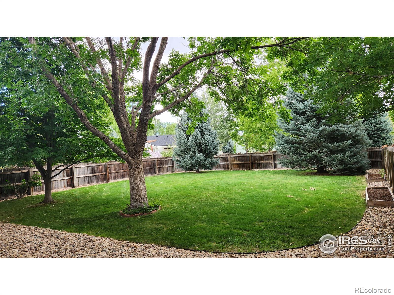 MLS Image #9 for 1696  bain drive,erie, Colorado