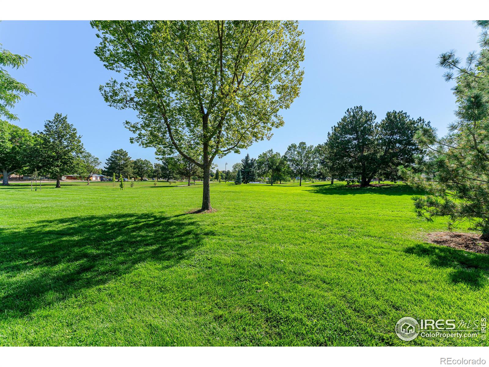 MLS Image #30 for 1900  sumac place,longmont, Colorado